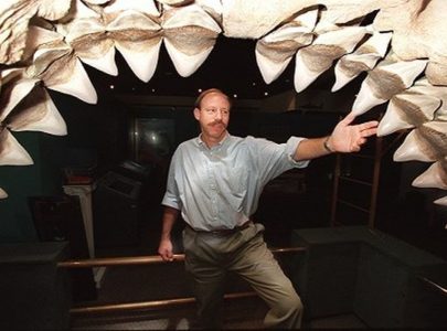 Phát hiện hóa thạch cá mập khổng lồ 300 triệu năm