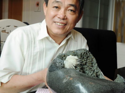 Bông hoa nở từ đá kỳ lạ ở ngôi đền dát vàng ngàn tỷ