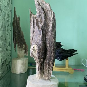 Tram-canh-de-ban Tram-canh-de-ban